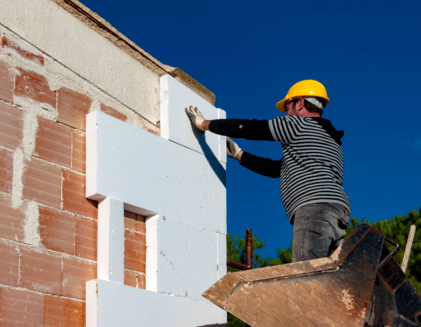 Best Commercial Insulation in Lochearn, MD