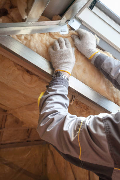 Best Geographic-Specific Insulation Services in Lochearn, MD